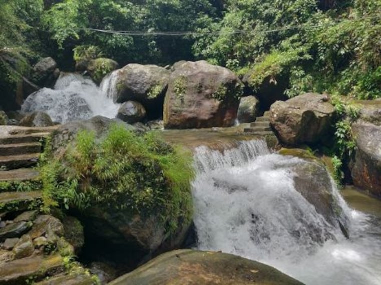 Double Decker Living Root Bridges-2